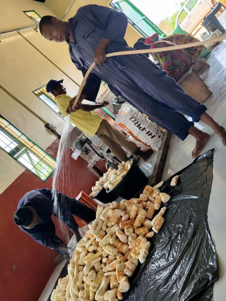 WhatsApp Image 2026-02-04 at 08.32.17 (1)